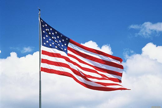 Изображение государственного флага США. Потому что на флаге США 50 звезд